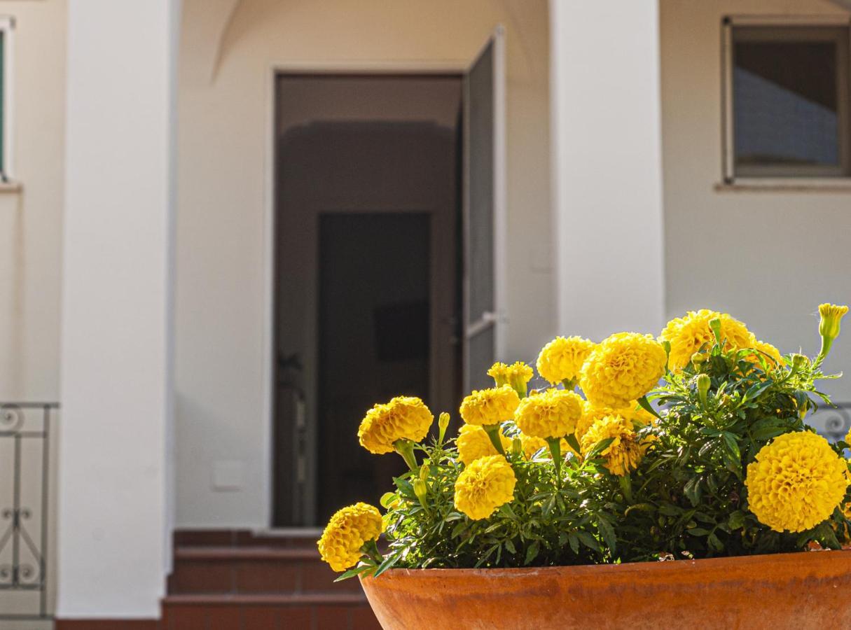 Casa Ale Casa vacanze Holiday House Anacapri (Isola di Capri) Exterior foto