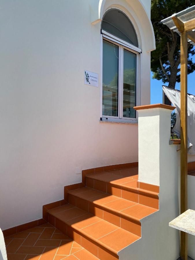 Casa Ale Casa vacanze Holiday House Anacapri (Isola di Capri) Exterior foto